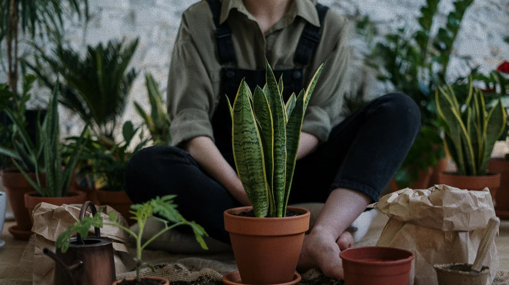 Customer stories banner